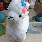 20110904-031125.jpg