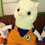20111215-224954.jpg