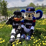 中日ドラゴンズのドアラ選手の交流戦がゆるすぎると話題