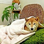 20130317-003012.jpg