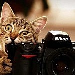 tumblr_mmisdnJMG61re8ilbo1_500