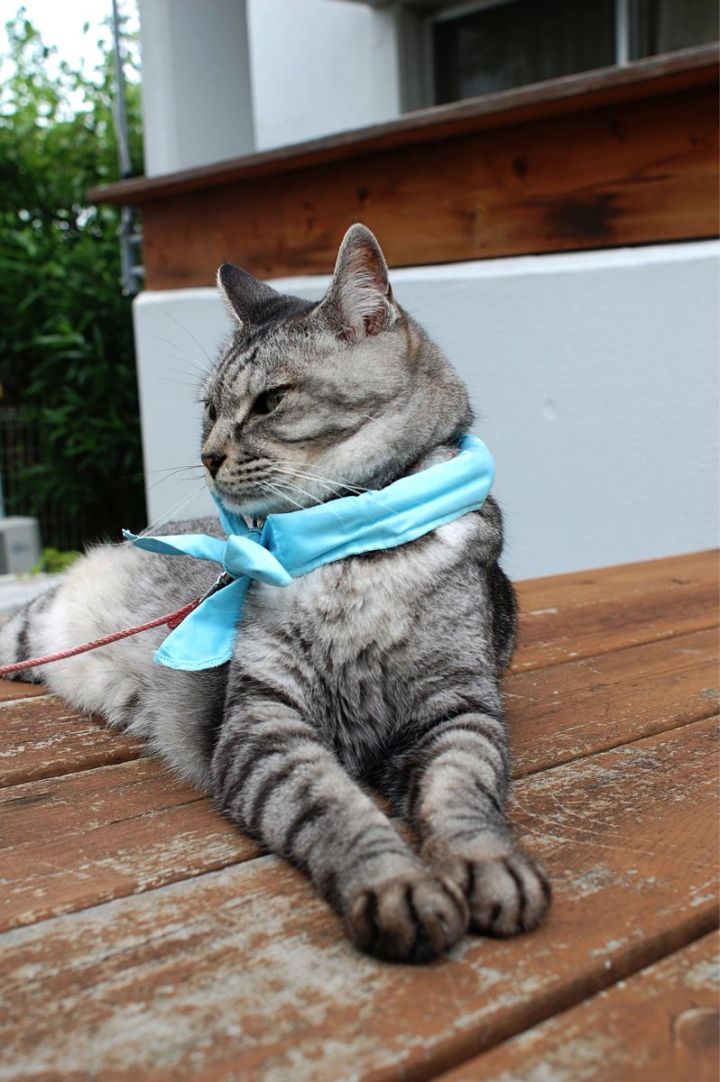 DSC_0094（変換後）