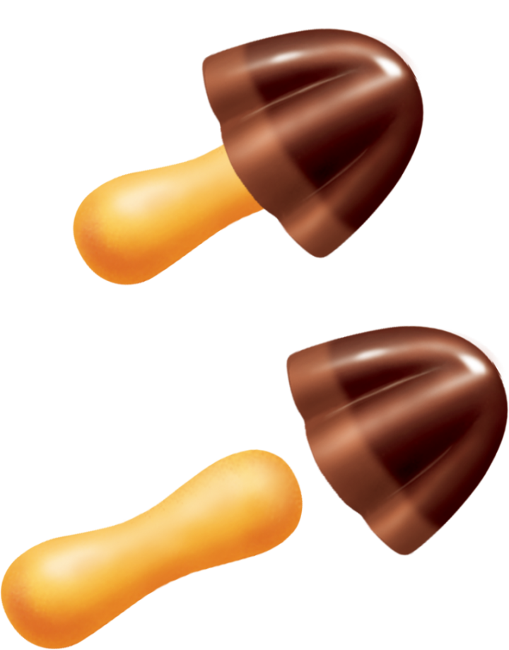 taste_kinoko