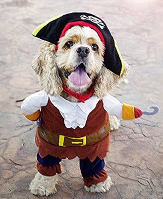 StarPets 犬 猫 コスプレ衣装 海賊 フック船長 ハロウィン パレード パーティー 仮装 1色 3サイズ 小型犬 中型犬 大型犬 (L)