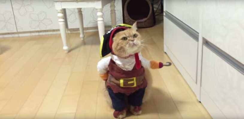 スクリーンショット 2015-10-19 11.29.14