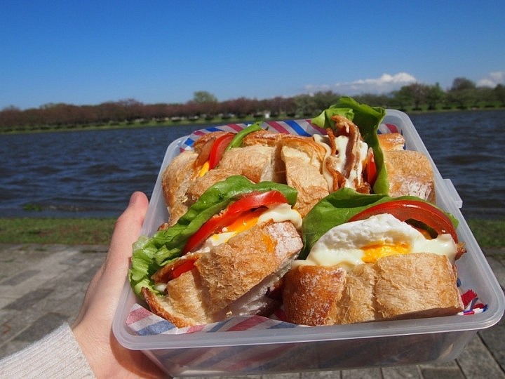 ピクニック水元公園