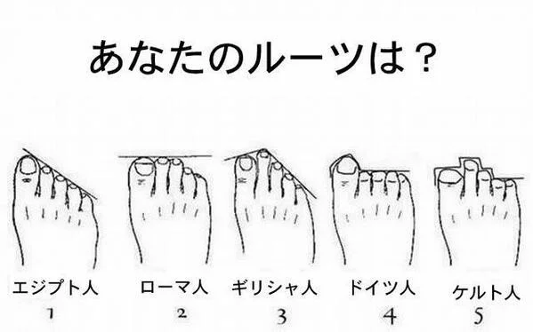 足の形で祖先がわかる アットトリップ