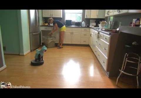 サメの帽子を被った猫、キッチンをルンバで掃除。