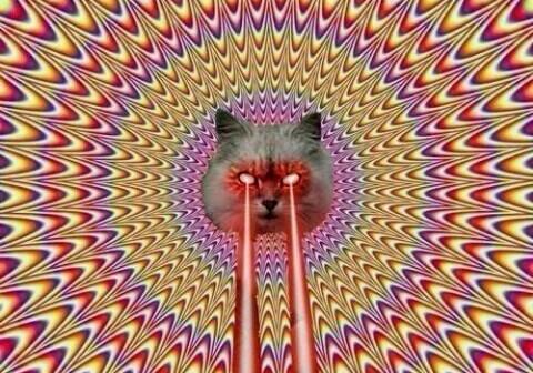 目からレーザーを出している一枚の絵です。長い時間見ているゆらゆらと動いているように見えますｗｗ