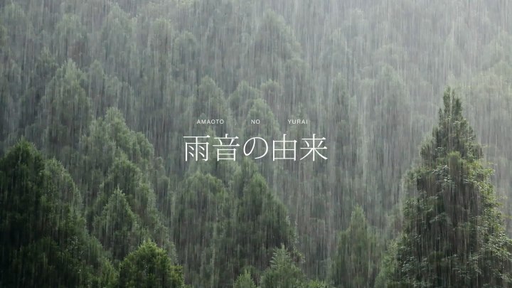 「雨音の由来」雨が降る音は水滴が物に当たる音の集積でできているのではないか、という仮説を検証す­る映像