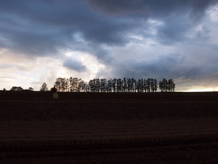 マイルドセブンの丘に行ったよー！