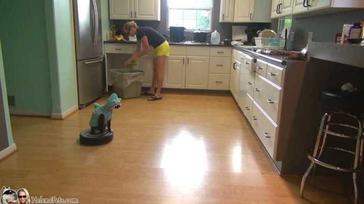 【ルンバ猫特集】ルンバに乗る猫。この動画を見てやってみたいから真似してみた人が続出。