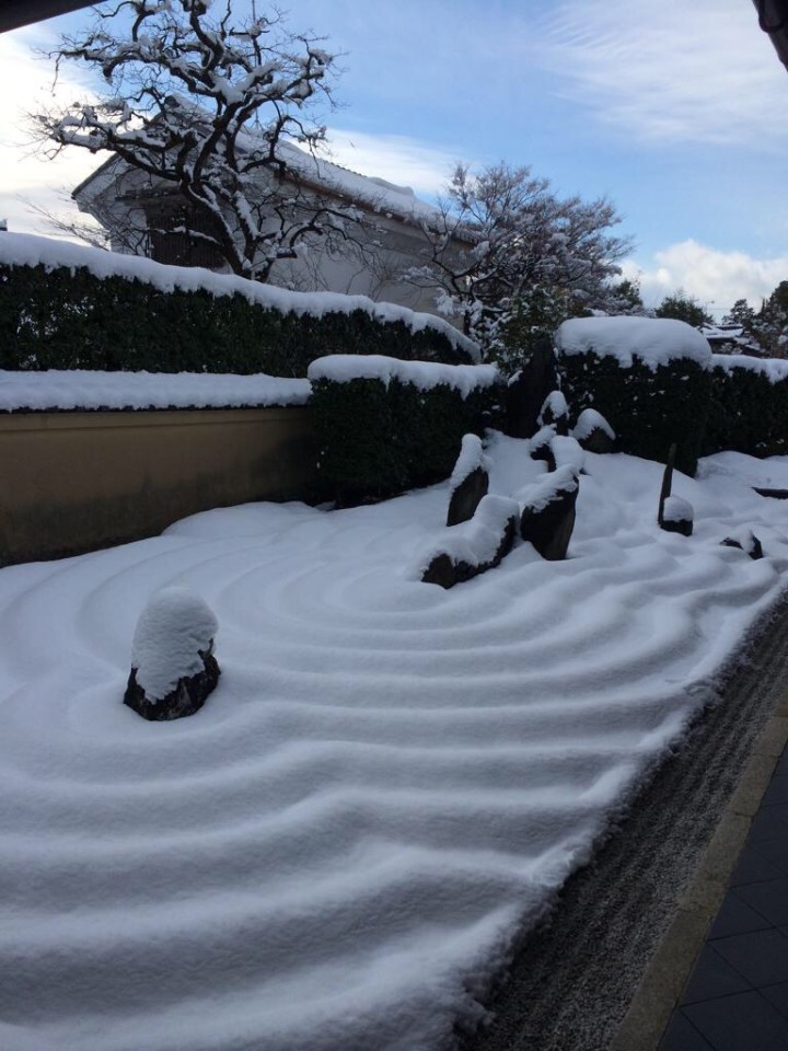 雪の枯山水がすごいことになっている。