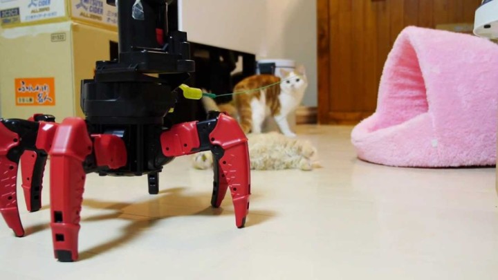 【動画】マンチカンの子猫と六足歩行ロボットが遭遇した結果