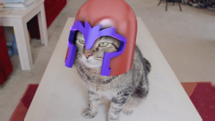Xメンのマグニートーになってしまった猫。