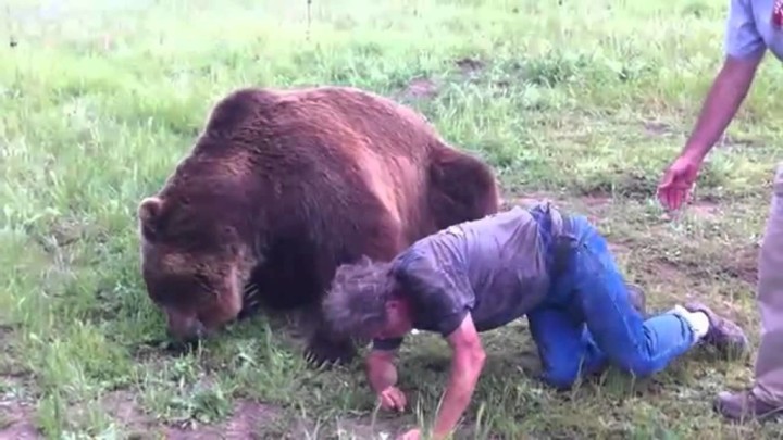 【動画】熊とじゃれあうおじさん。熊のパワーに圧倒されつつも楽しそうですｗｗｗ