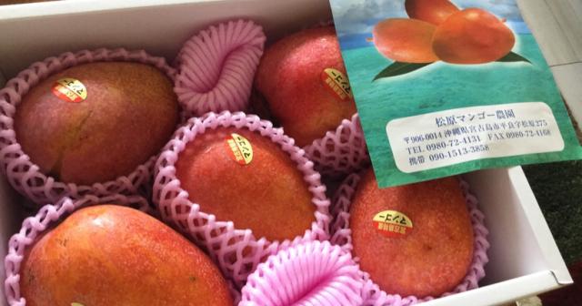 宮古島に住む友達からマンゴーをいただいた。