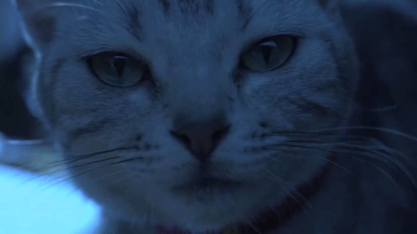 中国版実写ドラえもんショートムービー可愛すぎるｗｗｗｗｗ