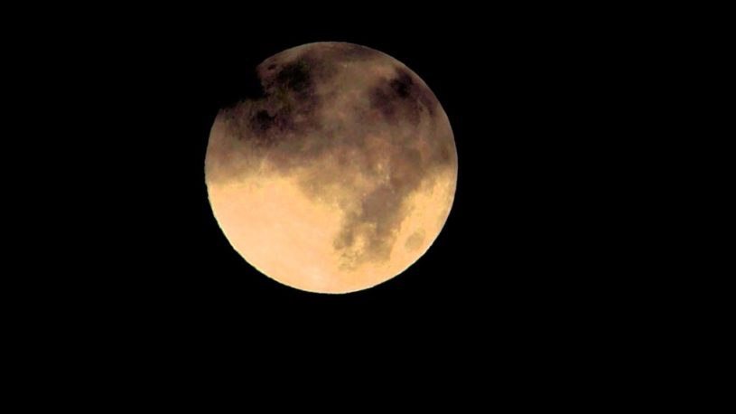 本日はスーパームーン！いつもより大きな満月が見られるよ〜！！！！！！！特にはやい時間の月は、必見です！！！