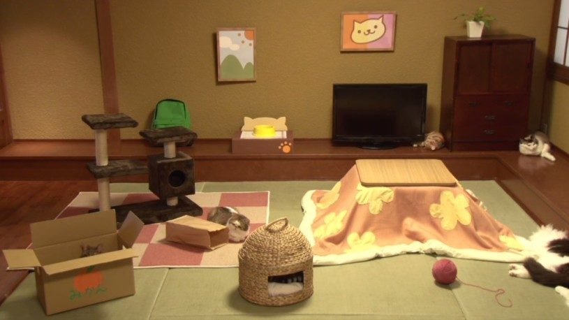 リアルねこあつめが開催中！YouTubeで生中継中！！！可愛すぎｗｗｗｗｗ