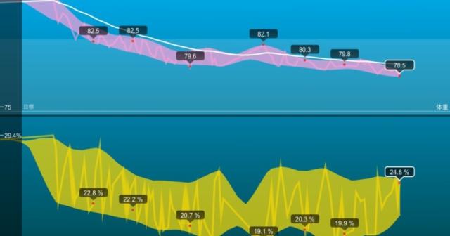 【糖質制限ダイエット】３ヶ月で９ｋｇ減りました。停滞期脱出か？！