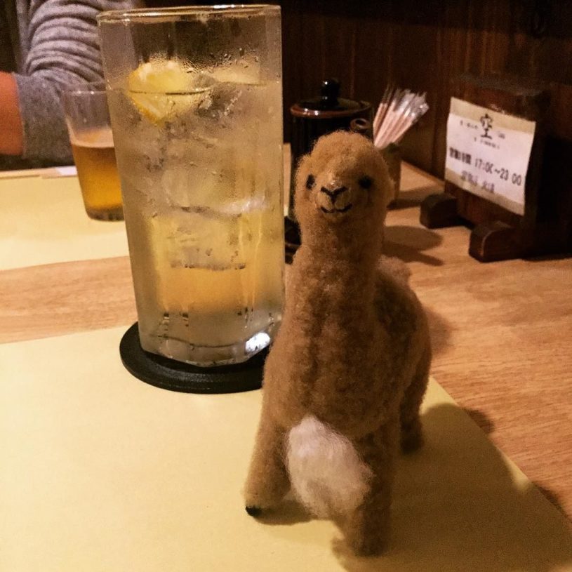 アルパカ人形もらったよ