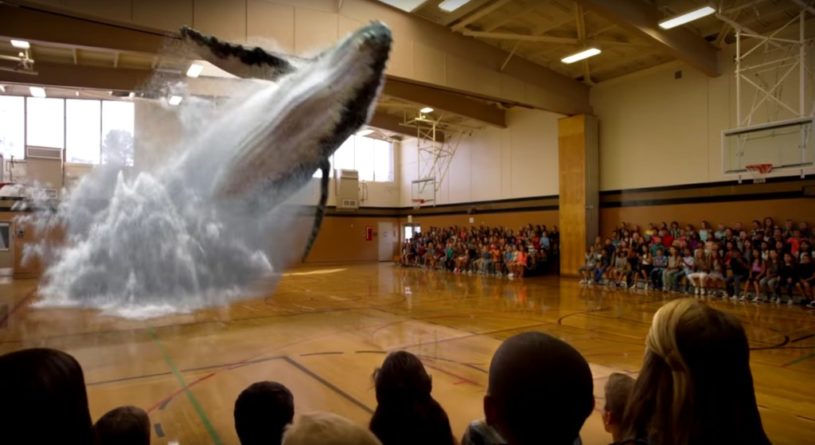 体育館にクジラが現れた！！！驚きの映像！！！