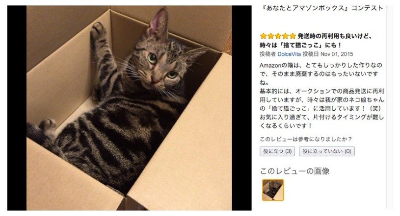 Amazon１５周年記念『あなたとアマゾンボックス』コンテスト開催中。アマゾンの箱の利用方法を募集中
