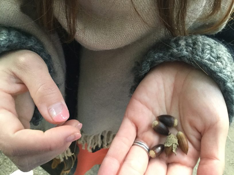 どんぐりの音を録音したよ。