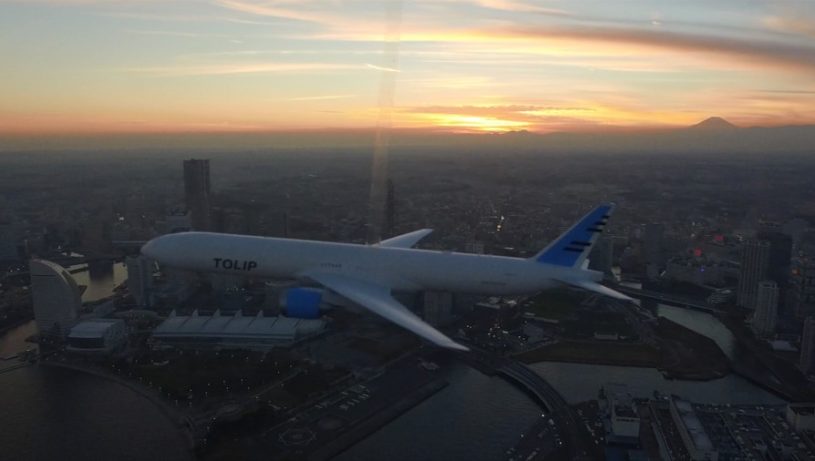ドローンで撮影された模型飛行機が本当に飛んでいるみたい！素敵！ミュージックビデオ「TOLIP/空へ」