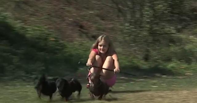 ミニチュアダックスフンドのそり