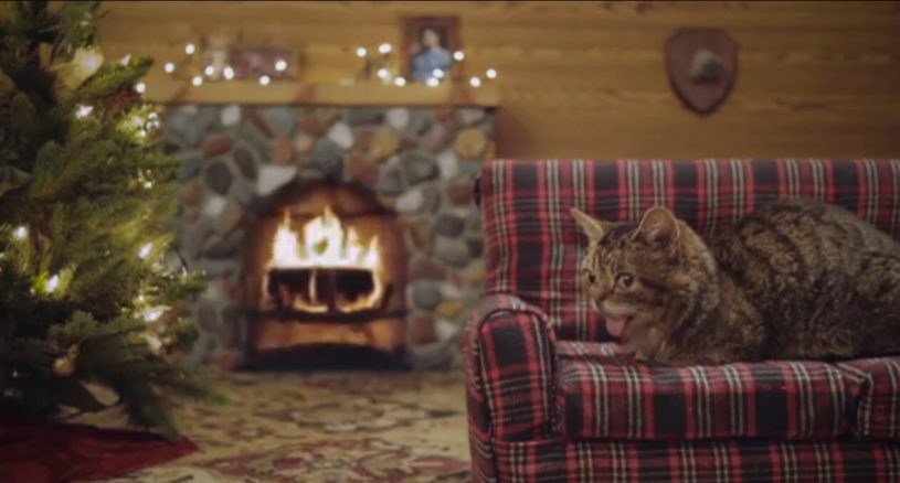 クリスマスに眺めていたい。暖炉とクリスマスツリーがある家でのんびりする猫動画。1時間あるよwww