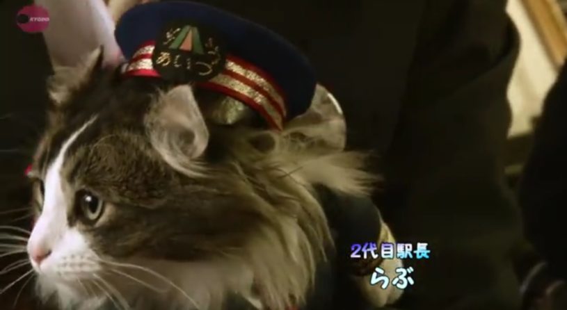 ネコ駅長がいることで知られる会津鉄道の芦ノ牧温泉駅で、2代目の「ねこ駅長」が就任