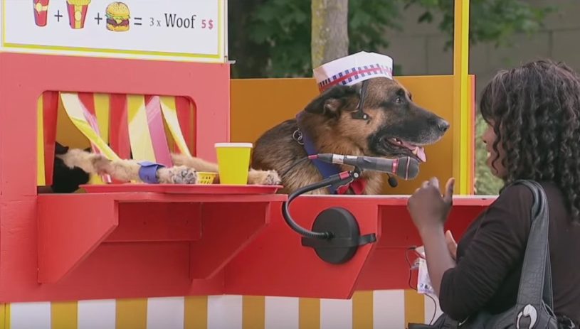 ホットドッグを売るドッグ（犬）ｗｗｗｗｗｗｗｗ