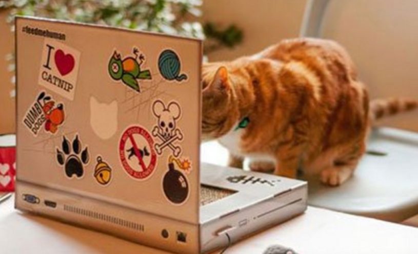 ２月２２日は、ねこの日（ニャンニャンニャンの日）かわいいネコまとめ