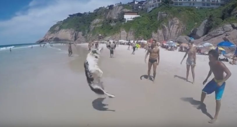 ビーチで上手にリフティングをする３人と１匹の犬？！！