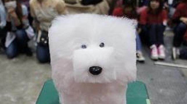 台湾では、キューブ型の髪型にするのが流行っているらしい。