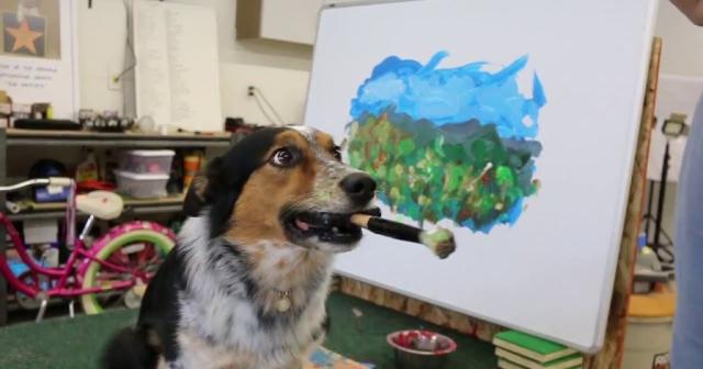 風景を描く天才犬現る！本当に長い時間をかけて描いている