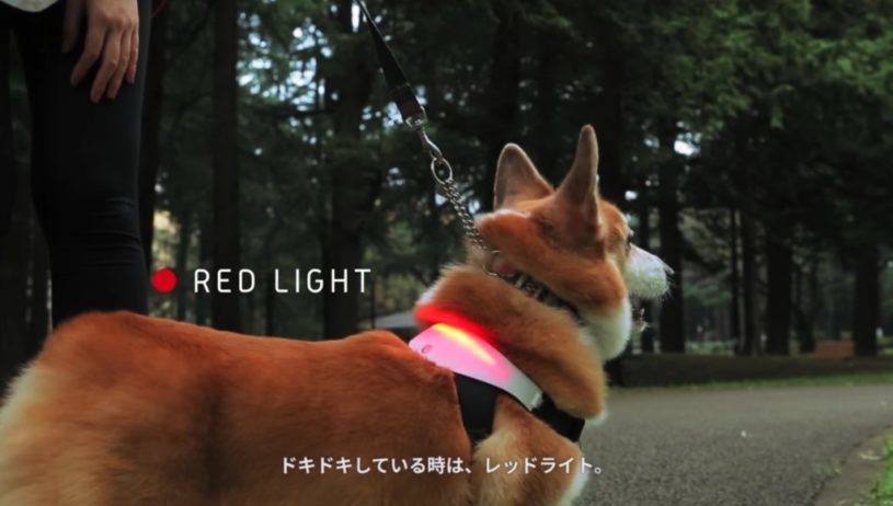 犬の気持ちがビジュアルでわかる「イヌパシー」が良さそう！