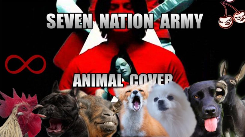 【カヴァー曲】動物たちが歌う　The White Stripes’ ‘Seven Nation Army’