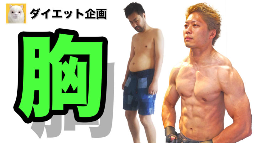 猫背を強制ストレッチ！胸・肩・背中の体が硬い人用の筋トレ方法！