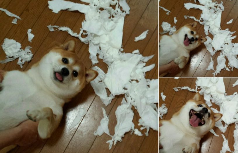 現行犯逮捕されました。こらあああｗｗｗｗｗ