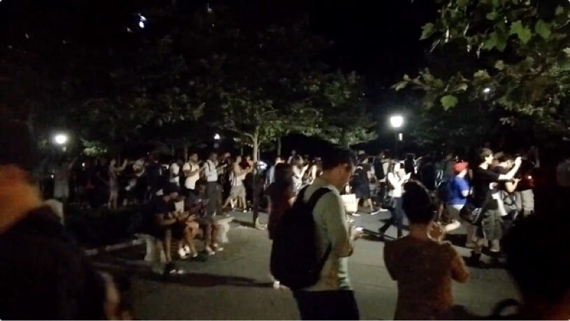 ニューヨークのセントラルパークにレアポケモンが出現した時の様子