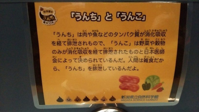 うんちとうんこの違いは、誤報でした。