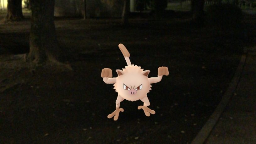 ポケモンGO、東綾瀬公園にマンキーの巣があるというので行ってきた！