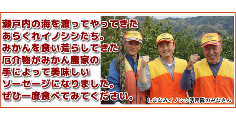 みかん農家がイノシシで農作物を荒らされた結果→ソーセージに