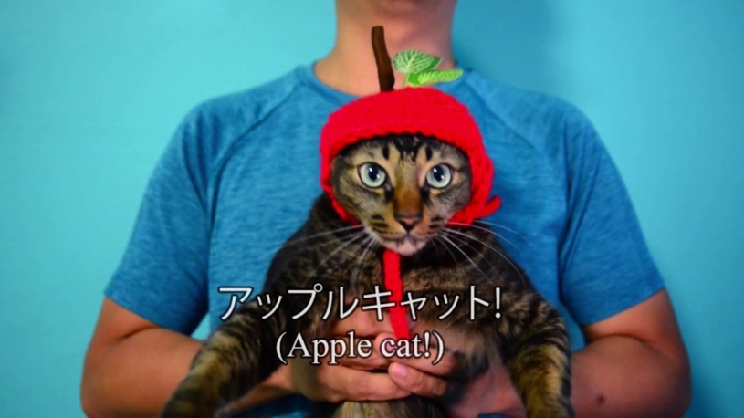 PPAPの猫バージョン可愛すぎるだろwww