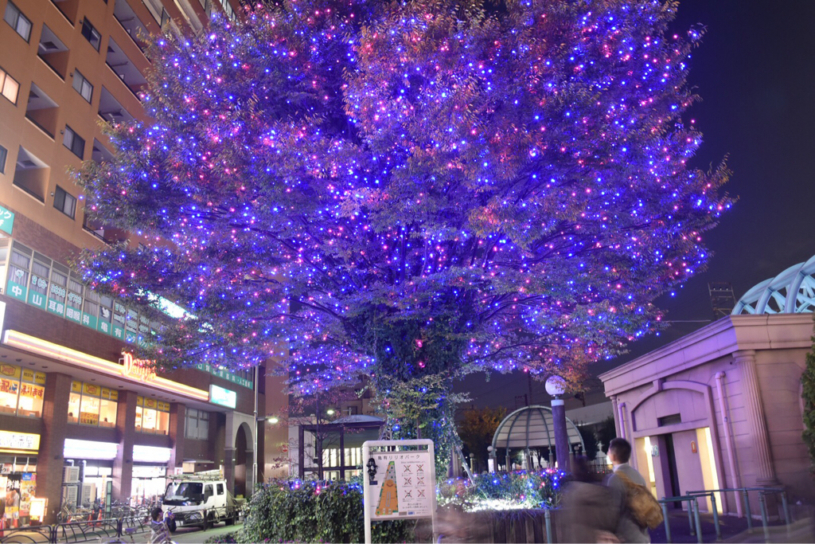 亀有駅前のイルミネーションが始まったよ