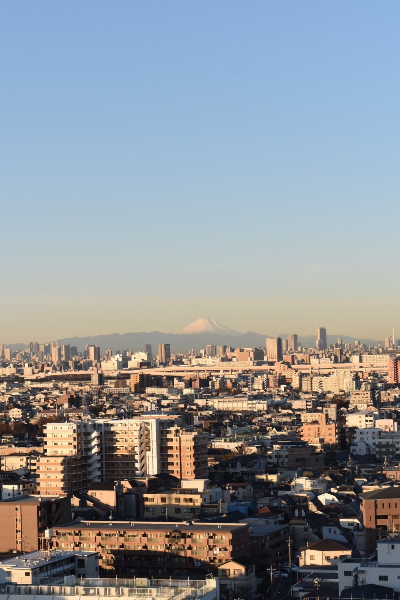 朝から東京から見える富士山が綺麗だ。