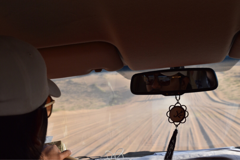 ラクダ！鷹狩り！BBQ！盛りだくさんのデザートサファリ-ドバイ旅行記(13)